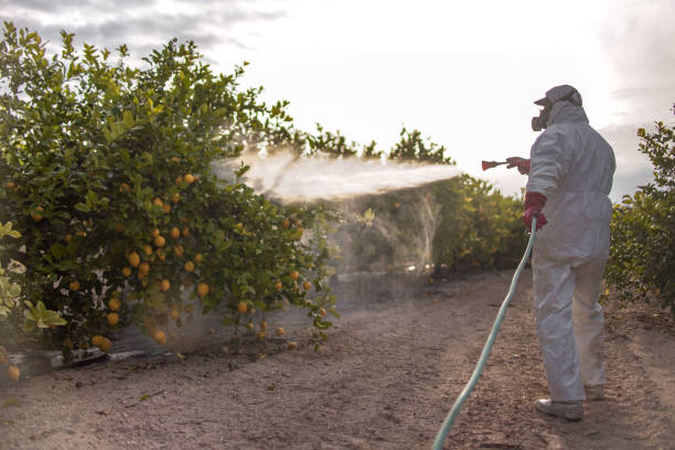 Pest Control Cost in Haverford College, PA