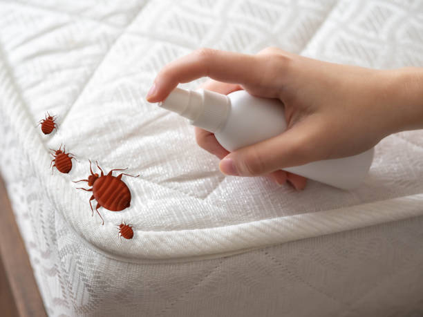 Best Pest Removal Services  in Haverford College, PA