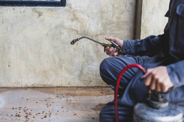 Best Local Pest Control Services  in Haverford College, PA